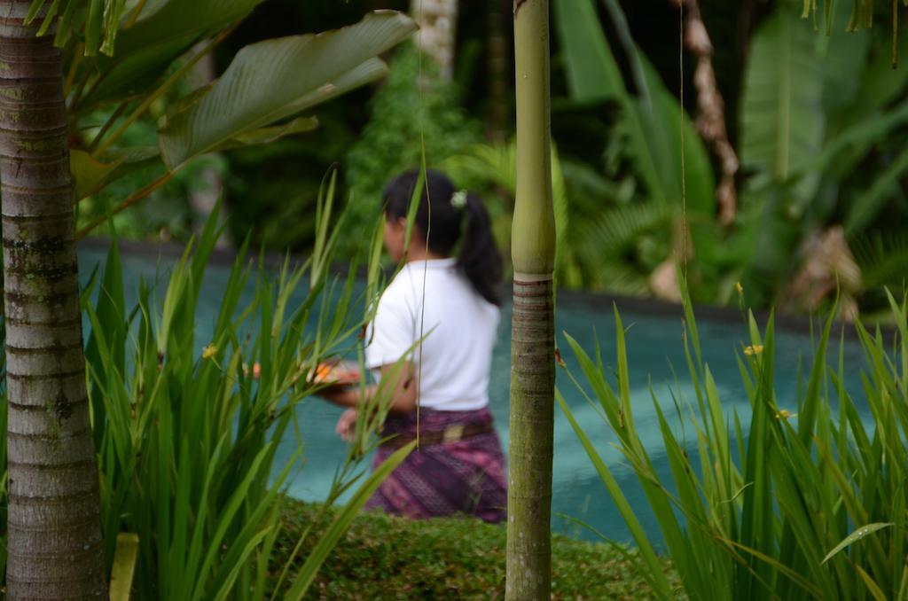 Resort The White Ubud (Bali)